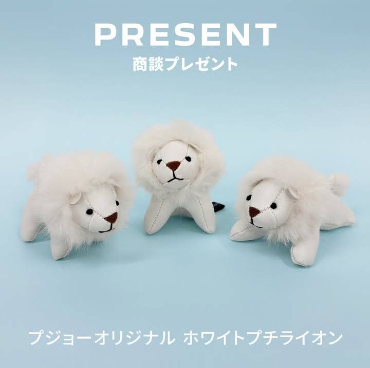 NEW 3008 DEBUT FAIR 7/12.13🎊