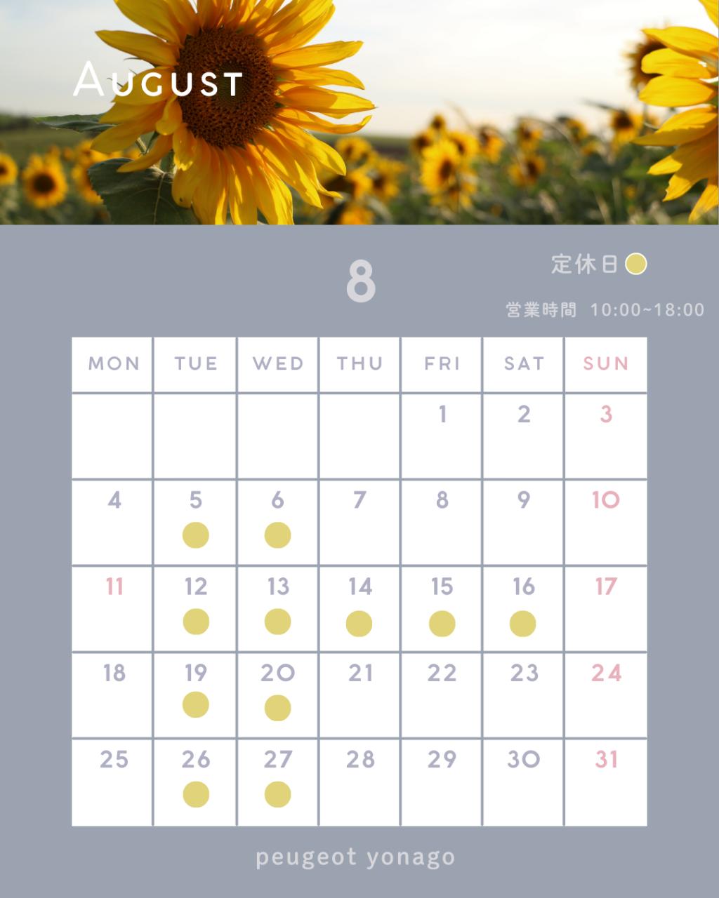夏季休業のお知らせ🌻