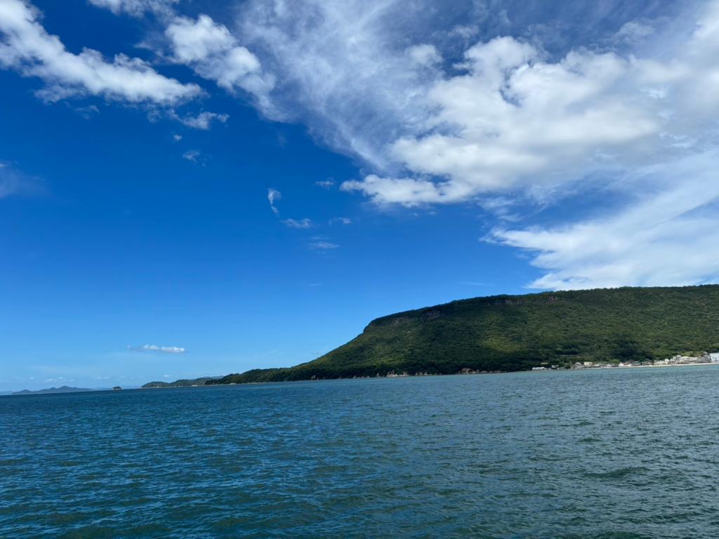 今日から８月です