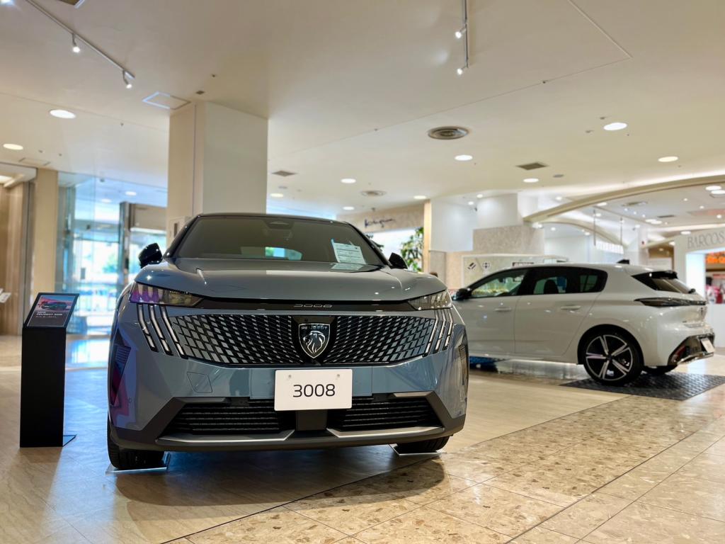 展示車入れ替えました🚙✨