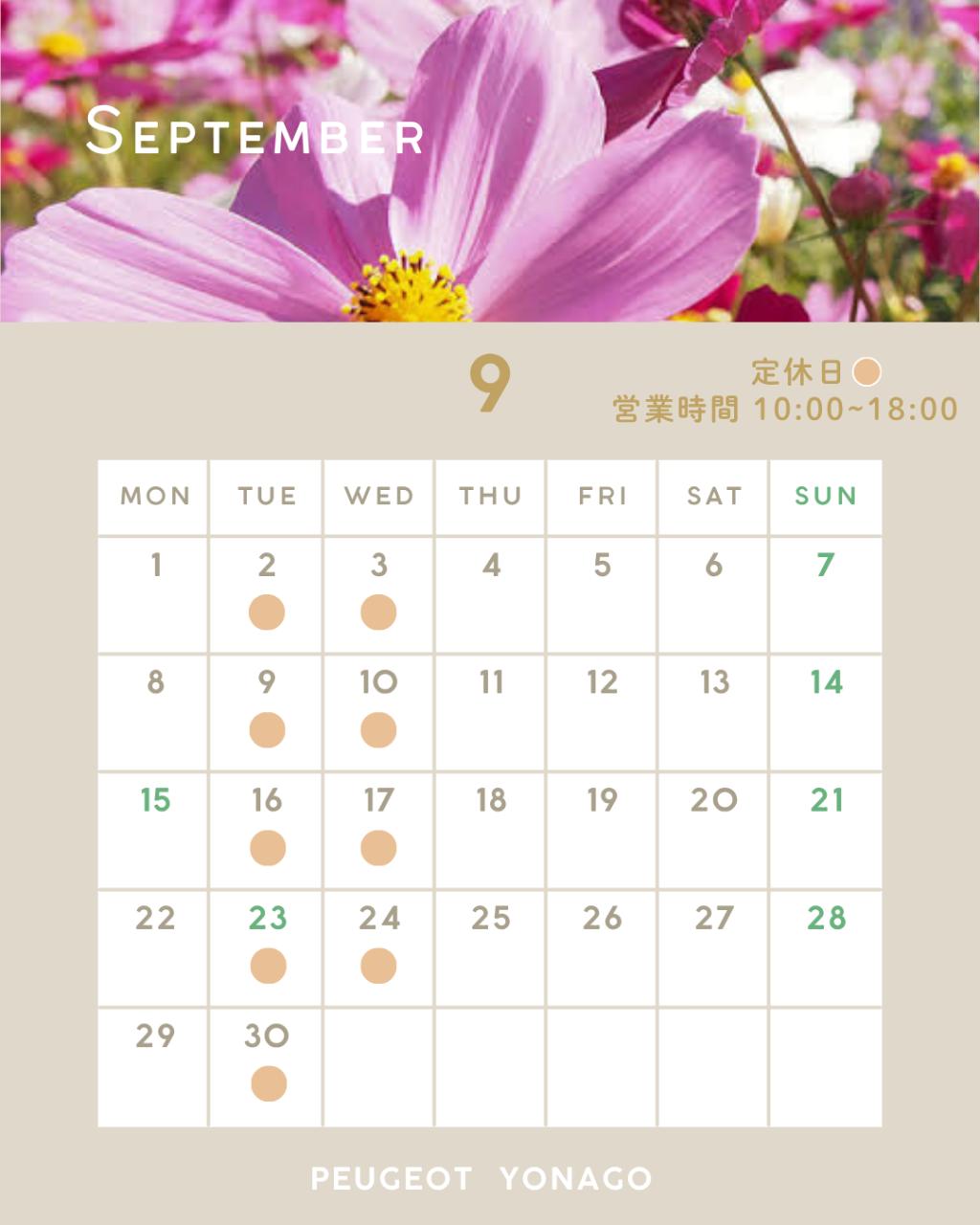 9月定休日のお知らせ❁