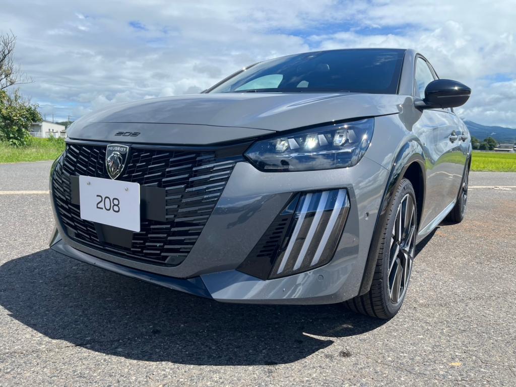PEUGEOT 208 GT Selenium Edition ✨