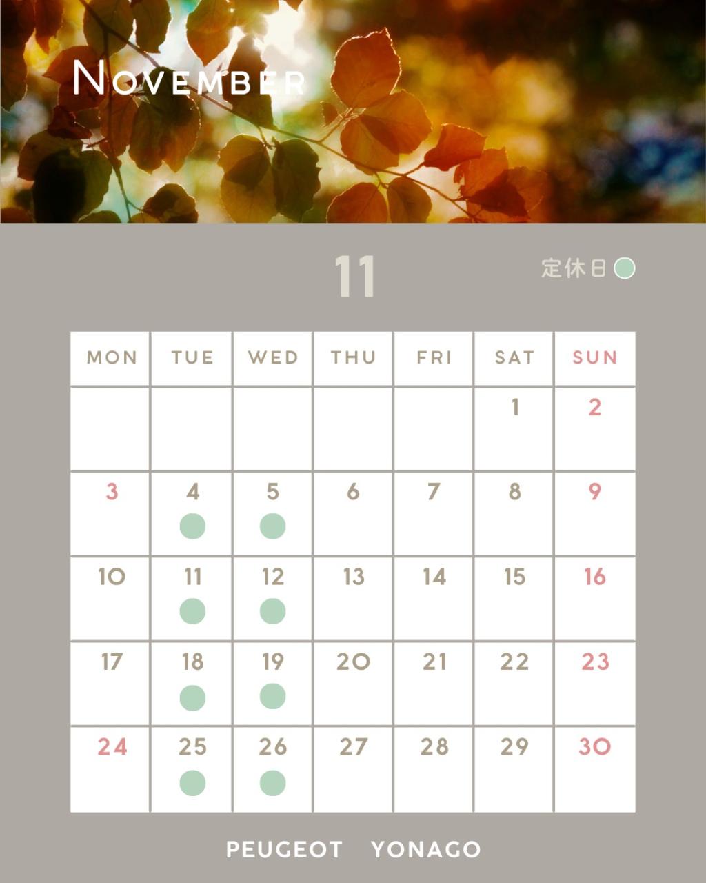 11月定休日のお知らせです🐿