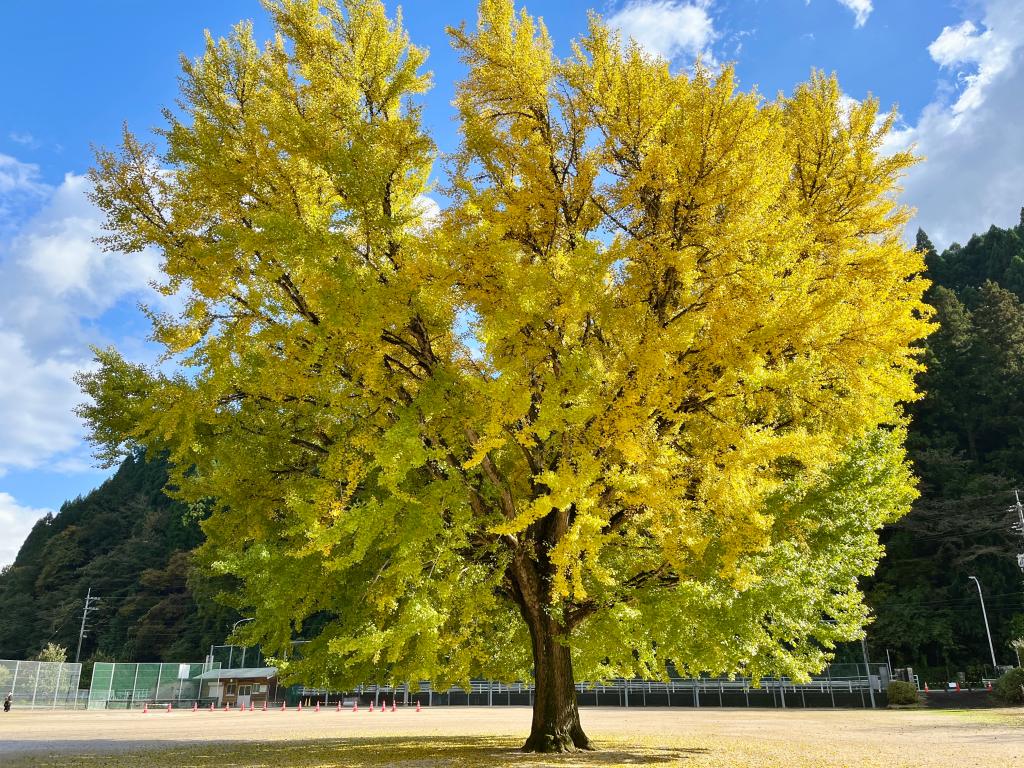 プジョーでおでかけ♪　vol.7-日南町