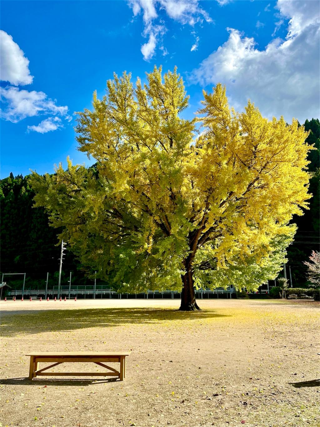 プジョーでおでかけ♪　vol.7-日南町
