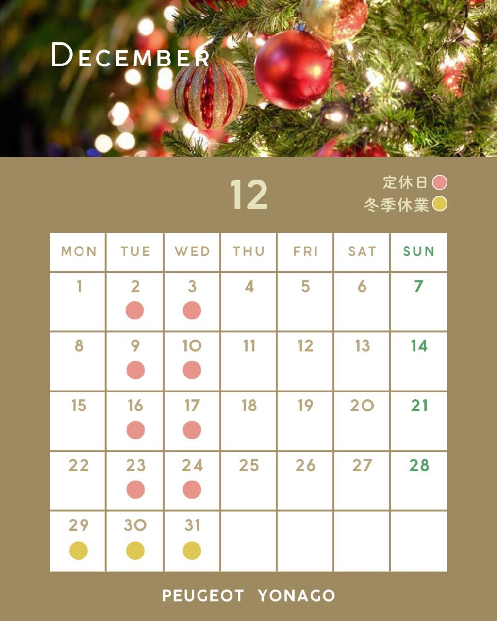 🎅12月定休日のお知らせ🎄