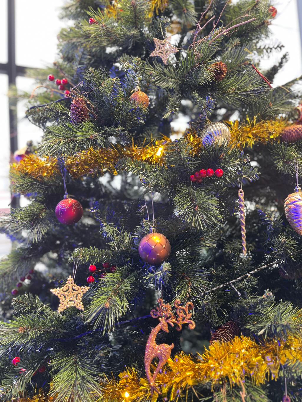 🎄ＴＲＥＥ🎄🌟