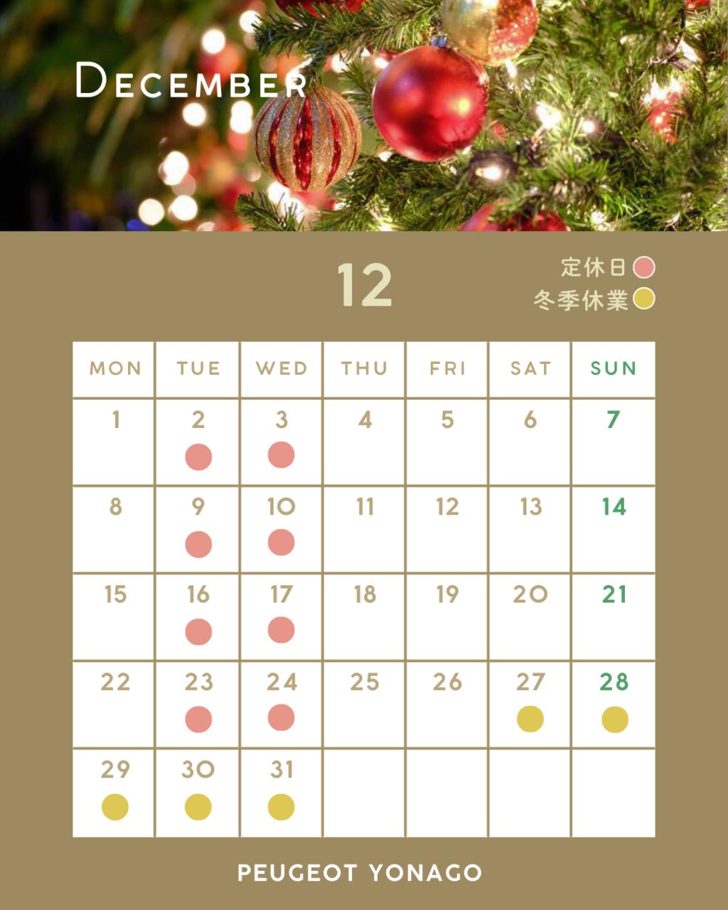 🎅12月定休日のお知らせ🎄