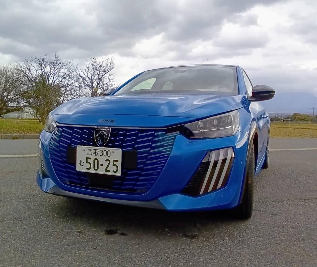 💙NEW 208 HYBRID💙