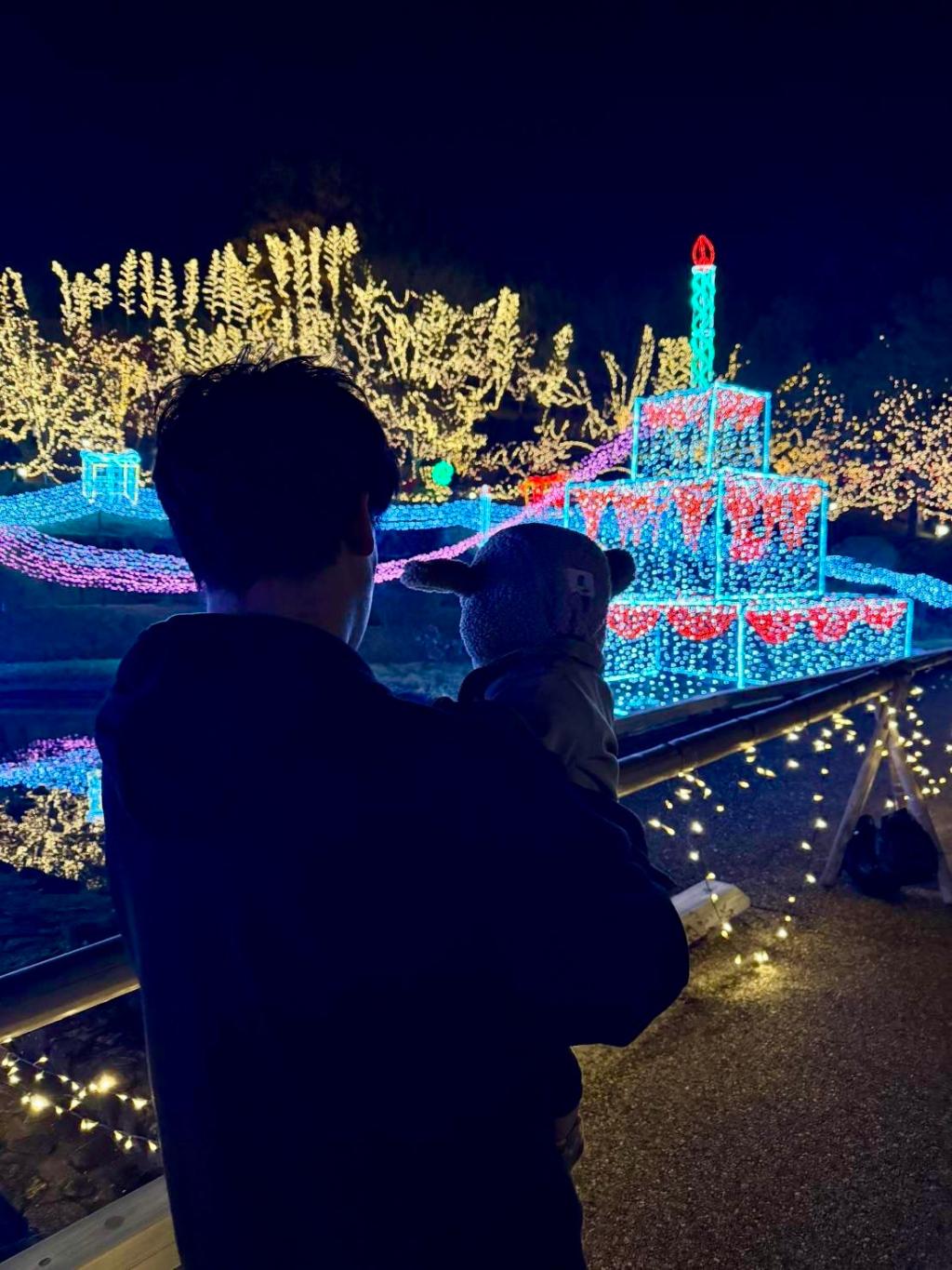 🔦イルミネーション✨