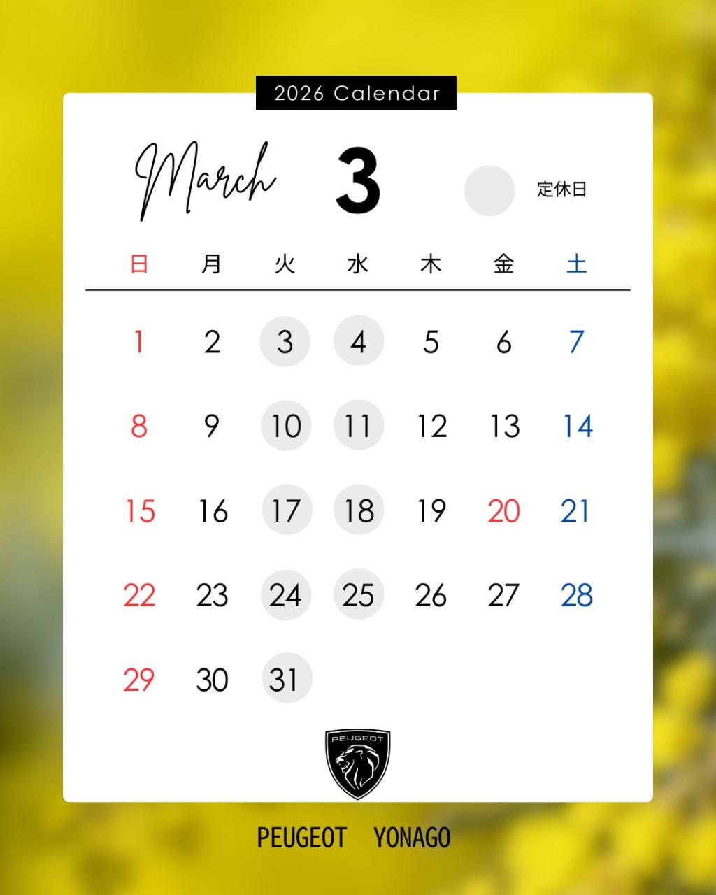 ３月定休日のお知らせです🌼