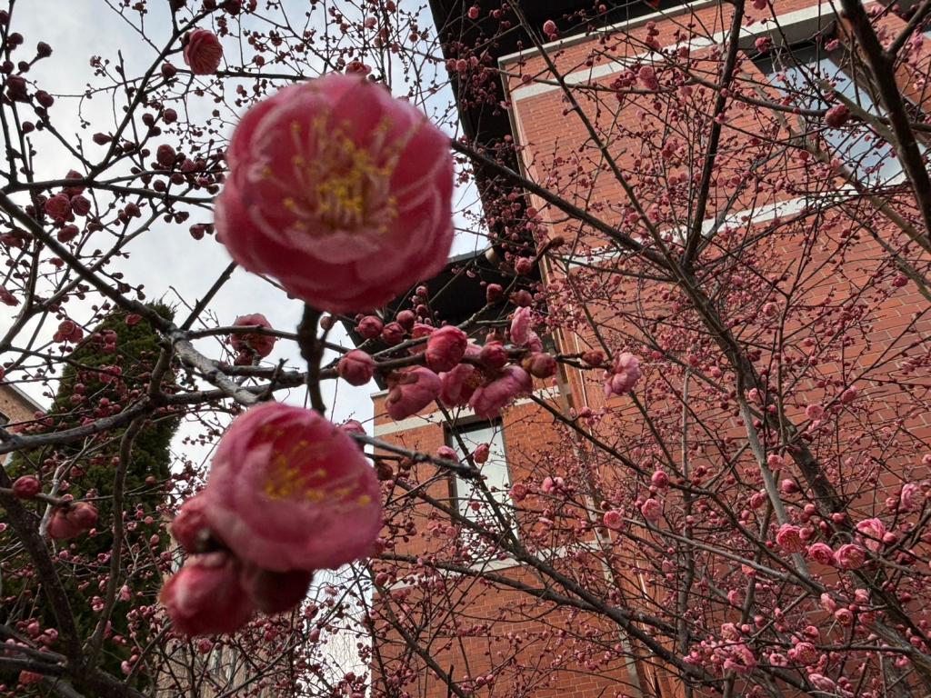 今日から３月です