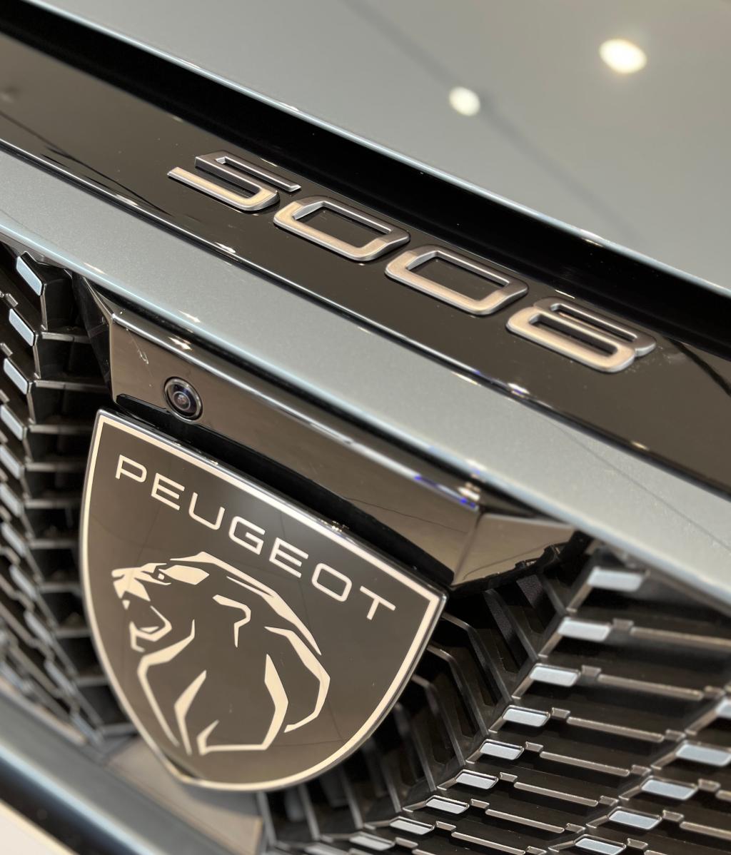 ワンポイント🦁