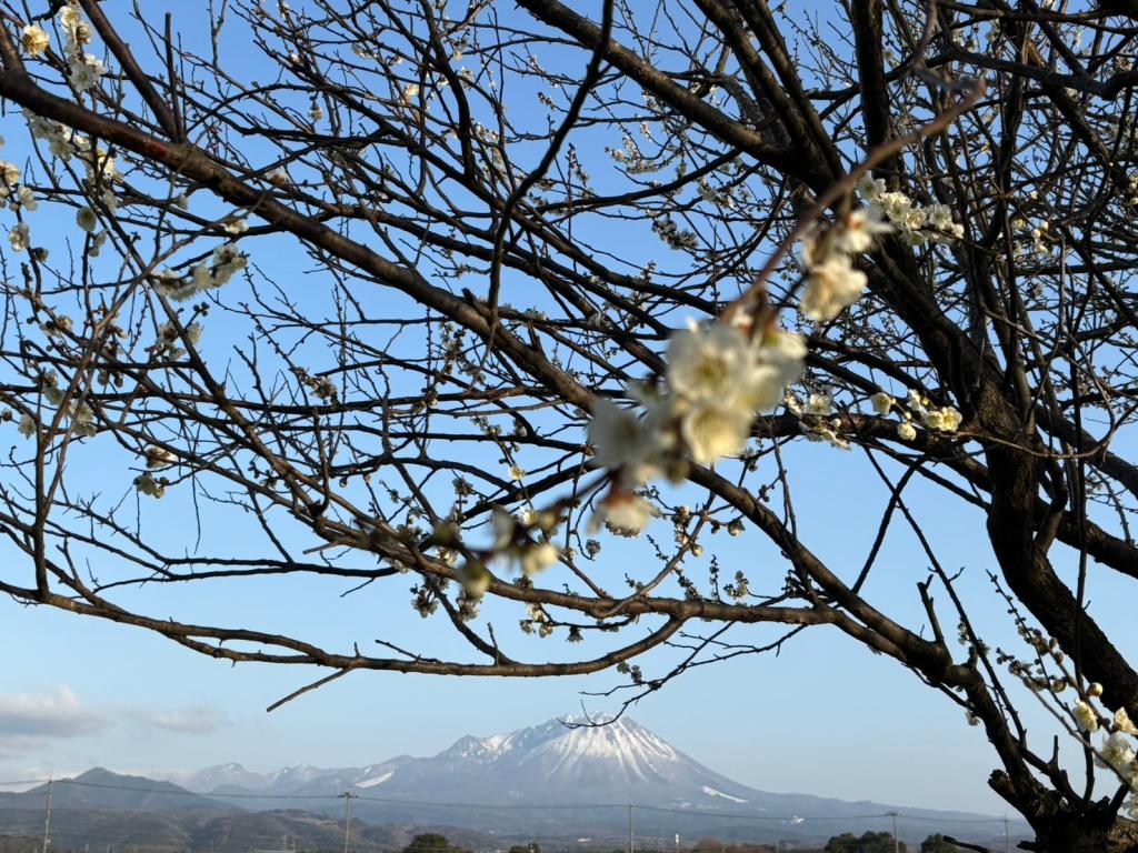 ３月も半月が経ちました