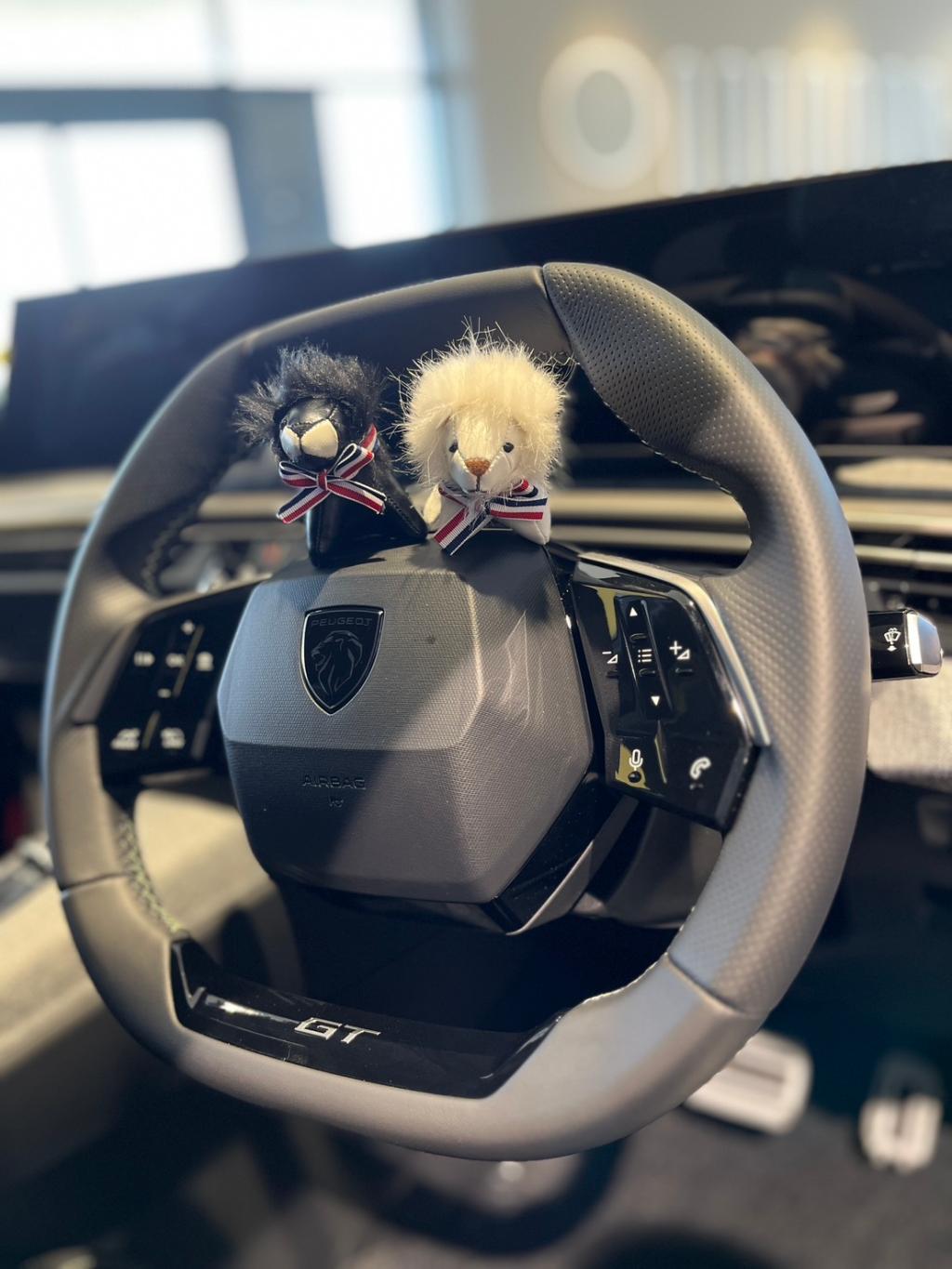 PEUGEOT体感試乗キャンペーン実施中🦁